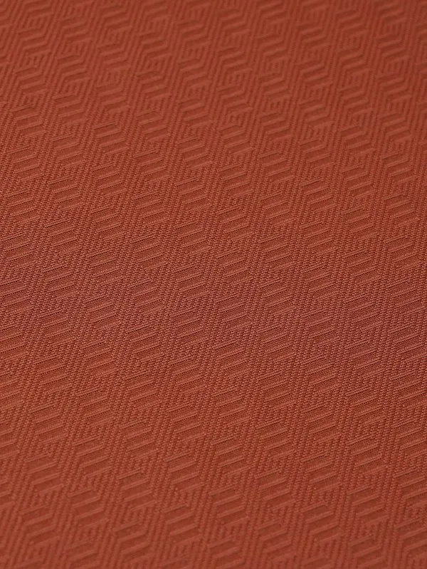 DSC06838 拷贝 – 副本